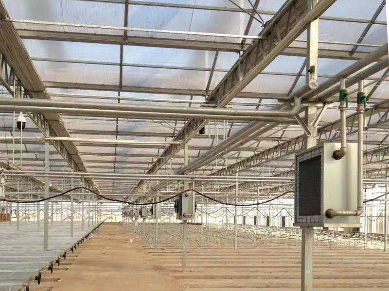 智能溫室生產中棚內濕度如何調節？